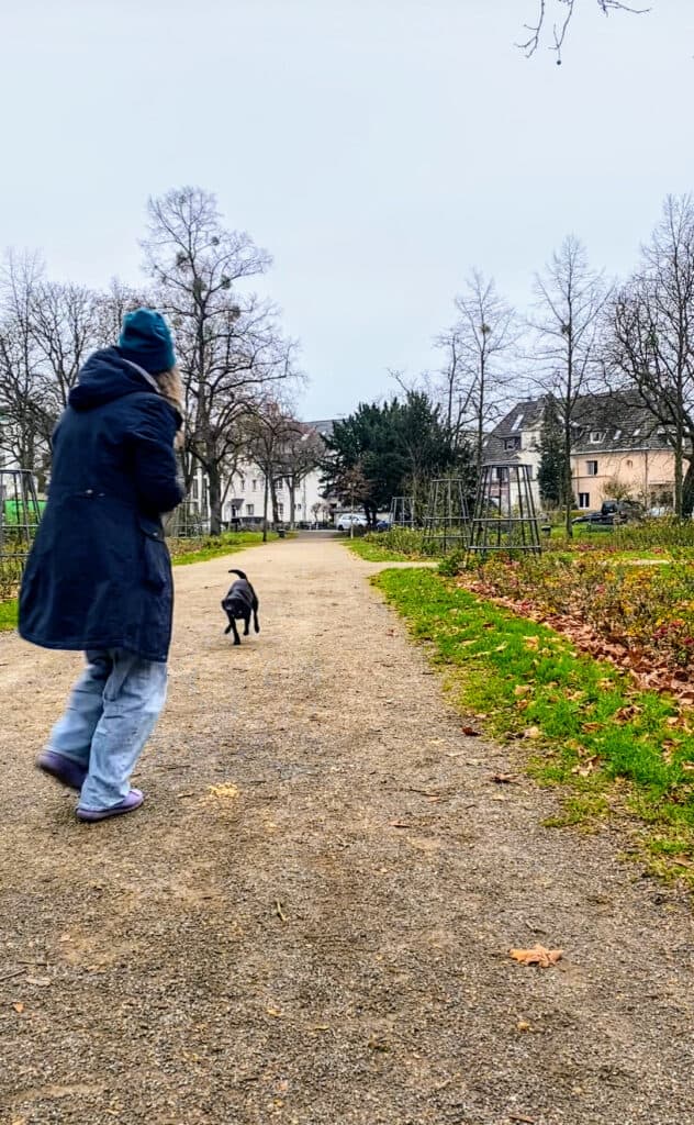 Hund im Trainingskurs lernt zuverlässig auf den Rückruf zu reagieren.