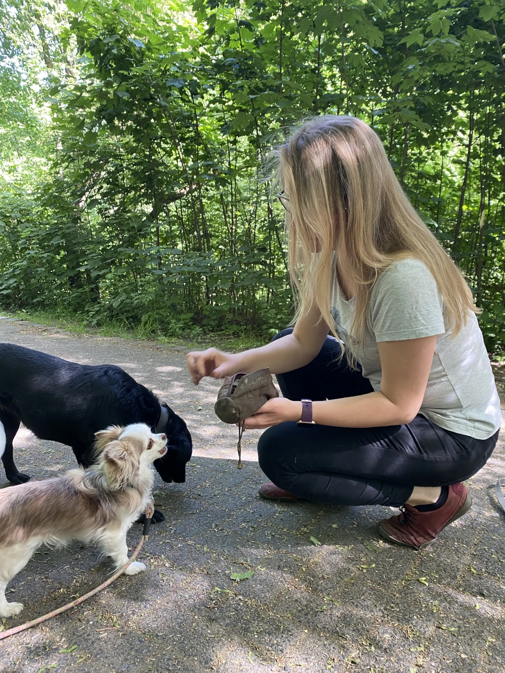 Hundetrainerin beim Workshop mit Hund in Köln