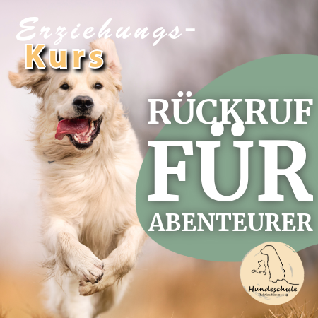 Kurs Rückruf für Abenteurer - 17.01.2026 (4 Wochen)