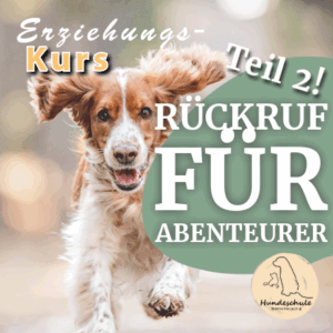 Kurs Rückruf für Abenteurer (Teil 2) - 17.01.2026 (4 Wochen)