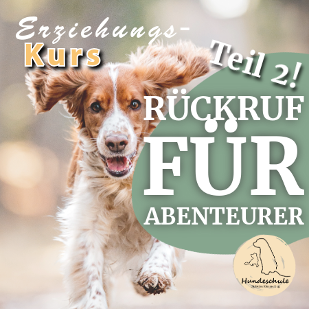Kurs Rückruf für Abenteurer (Teil 2) - 17.01.2026 (4 Wochen)