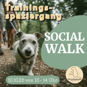Social Walk Köln Trainingsspaziergang