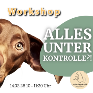 Alles unter Kontrolle - wenn dein Hund schneller entscheidet als du