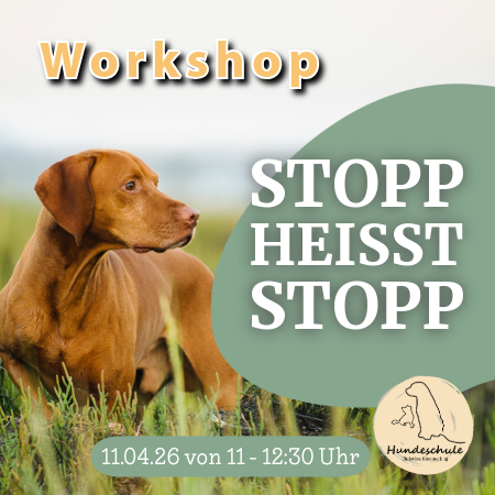 Stopp heißt Stopp – Zeit gewinnen in kritischen Momenten