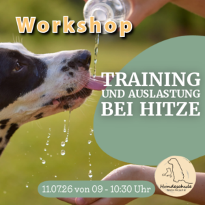 Bewegen, ohne zu überfordern – Training & Auslastung bei Hitze