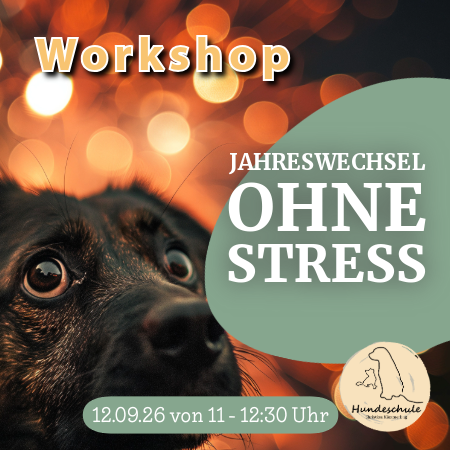 Jahreswechsel ohne Stress – frühzeitig vorbereitet auf Silvester