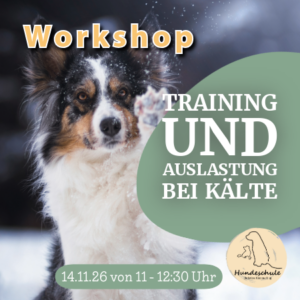 Dunkle Tage, klare Strukturen – Training & Auslastung im Winter