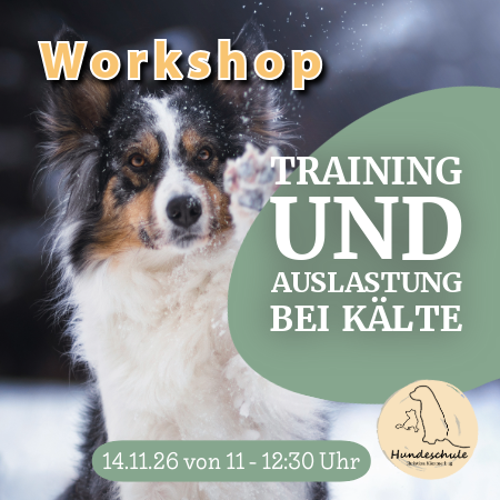 Dunkle Tage, klare Strukturen – Training & Auslastung im Winter