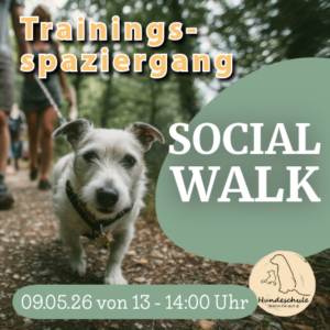 09.05.26 - 13 Uhr - Social Walk Decksteiner Weiher Köln