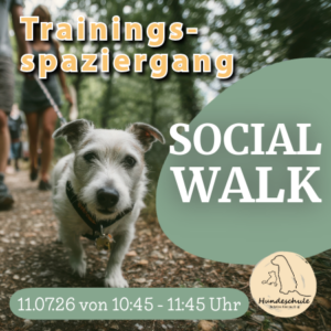 11.07.26 - 10:45 Uhr - Social Walk Decksteiner Weiher Köln