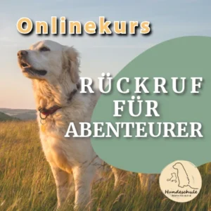 Onlinekurs Rückruf für Abenteurer