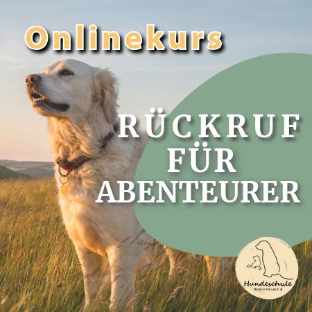 Onlinekurs Rückruf für Abenteurer