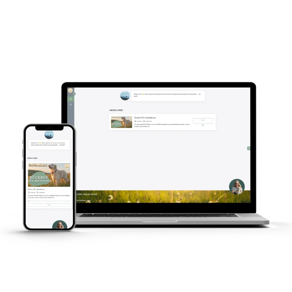 Bild Mentortools Onlinekurs