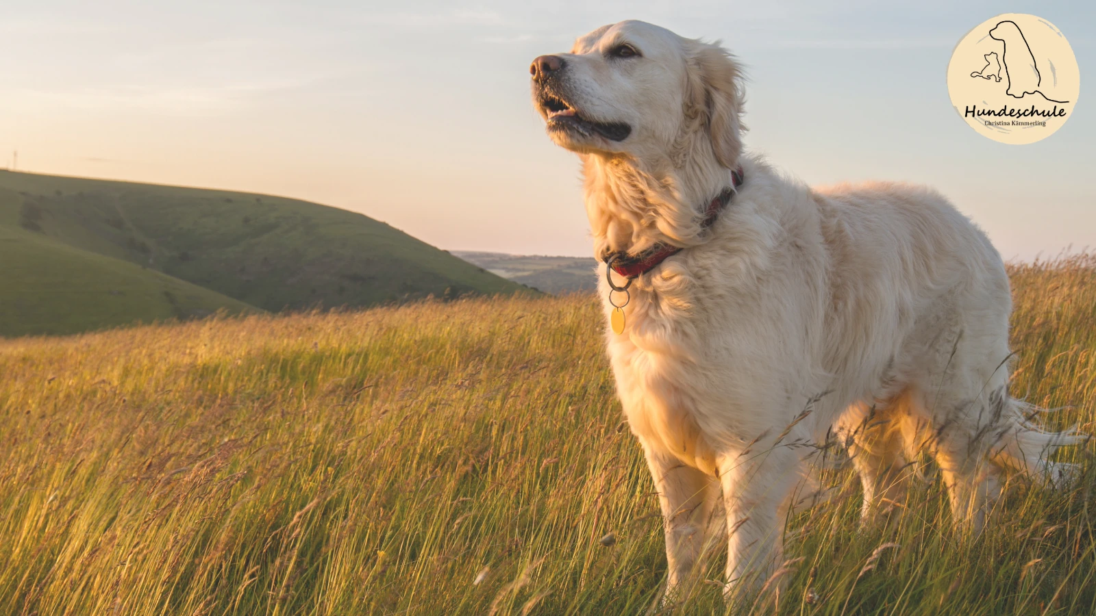 Onlinekurs Rückruf für Abenteurer
