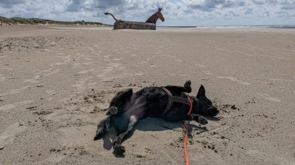 Rückruf für Abenteurer - Präsenzkurs