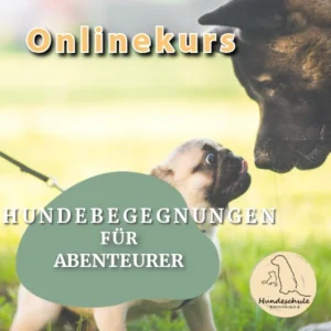 Onlinekurs - Hundebegegnungen für Abenteurer