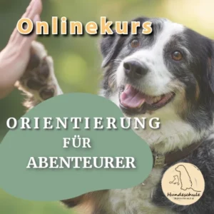 Produktbild - Onlinekurs Orientierung f&uuml;r Abenteurer