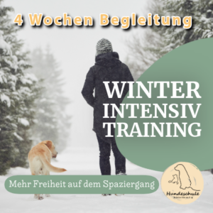 Winter-Intensiv – 4 Wochen individuelle Begleitung