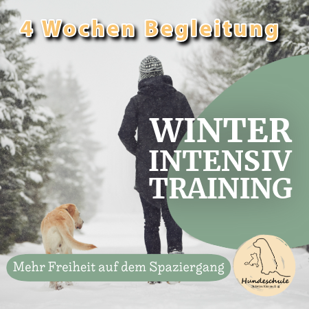 Winter-Intensiv – 4 Wochen individuelle Begleitung